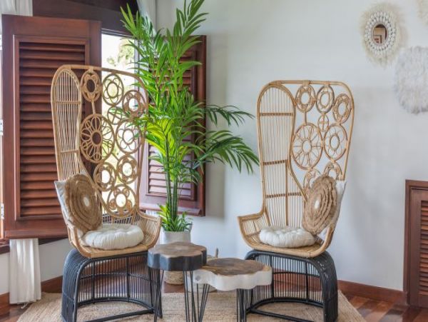 St. Barts Home 965494