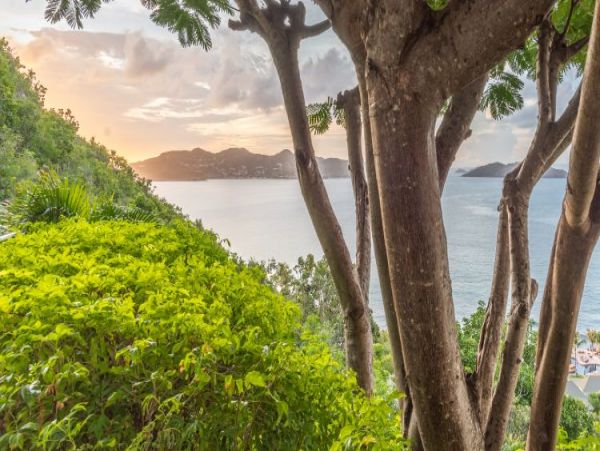 St. Barts Home 965494
