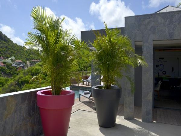 St. Barts Home 965499