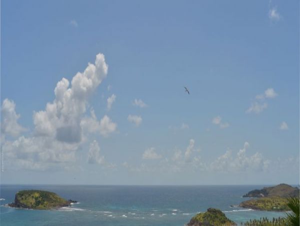 St. Barts Home 965501