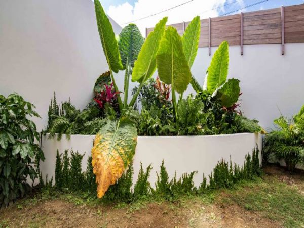 St. Barts Home 965515