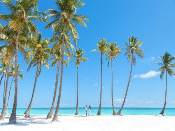 Dominican Republic Home 965571