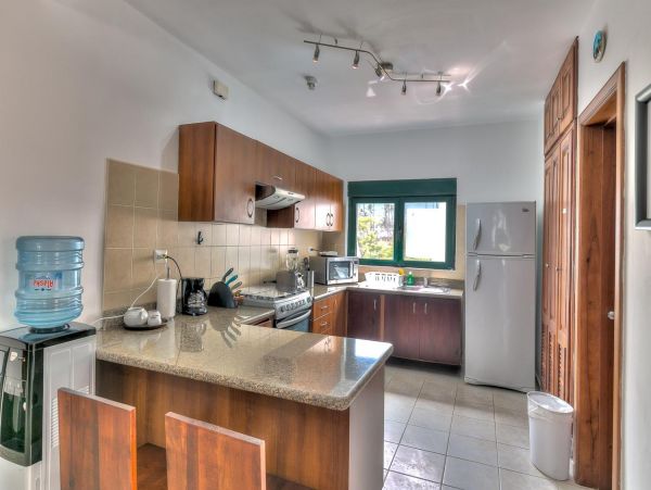 Dominican Republic Condo 965587