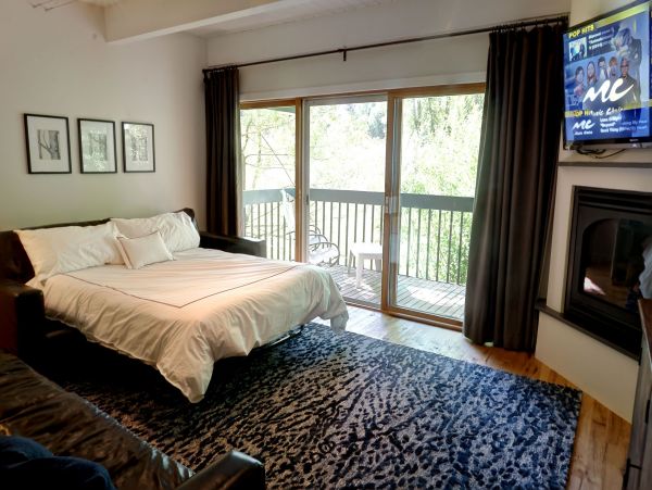 Telluride Condo 965626