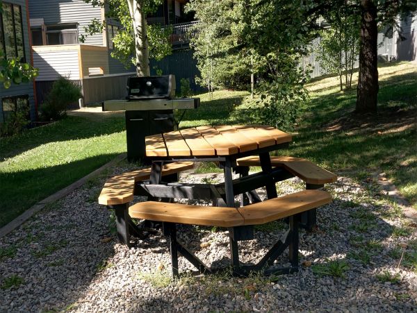 Telluride Condo 965629