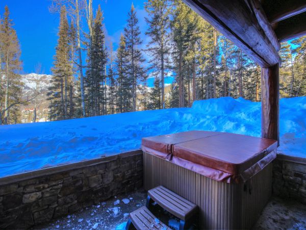 Telluride Home 965634