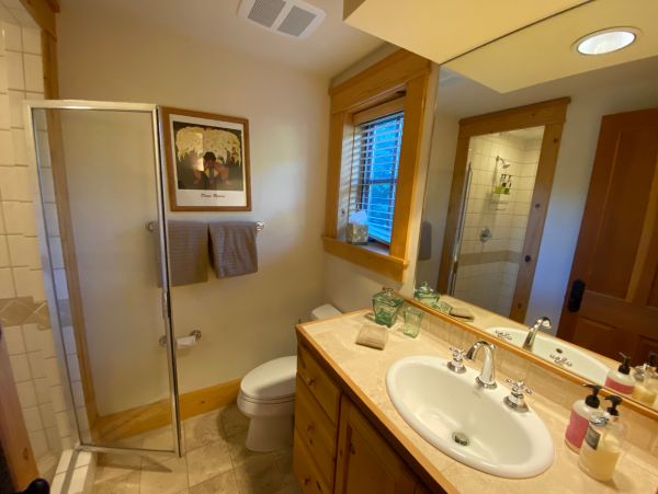 Telluride Home 965637