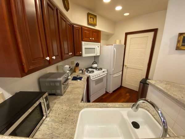 Telluride Condo 965639
