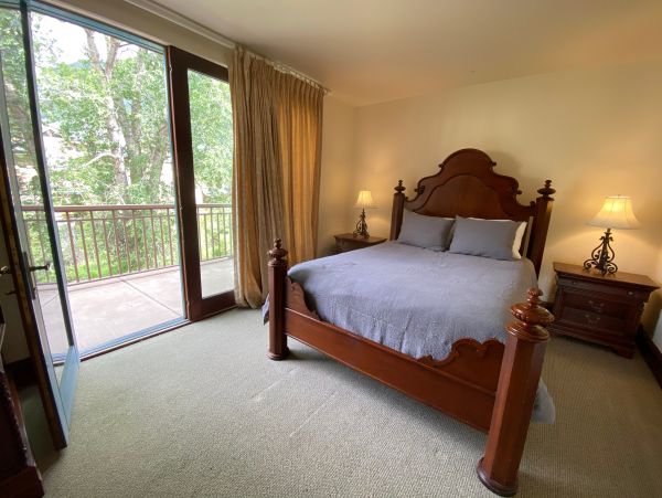 Telluride Condo 965639