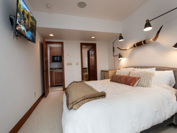 Telluride Condo 965641