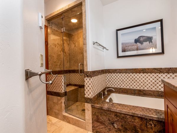 Telluride Condo 965641
