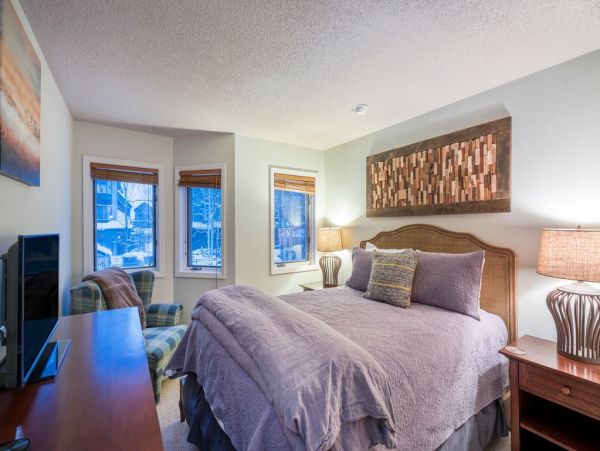 Telluride Condo 965642