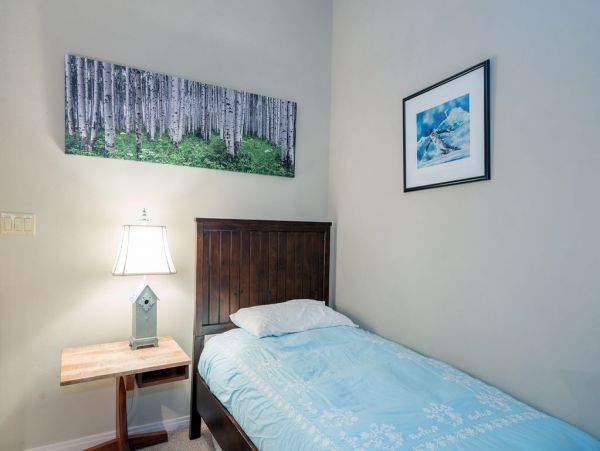 Telluride Condo 965642