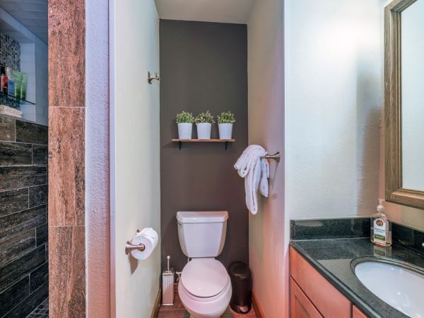 Telluride Condo 965642