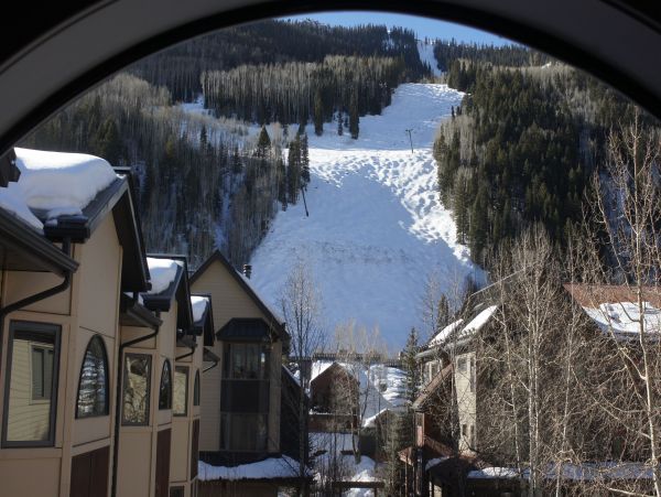 Telluride Condo 965642
