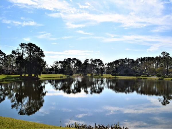 Ponte Vedra Beach Home 965656