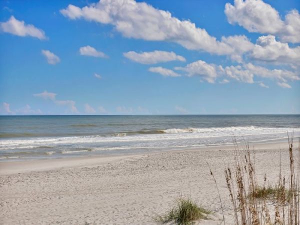 Ponte Vedra Beach Condo 965669