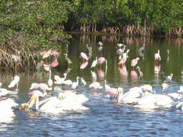 Sanibel Home 965700