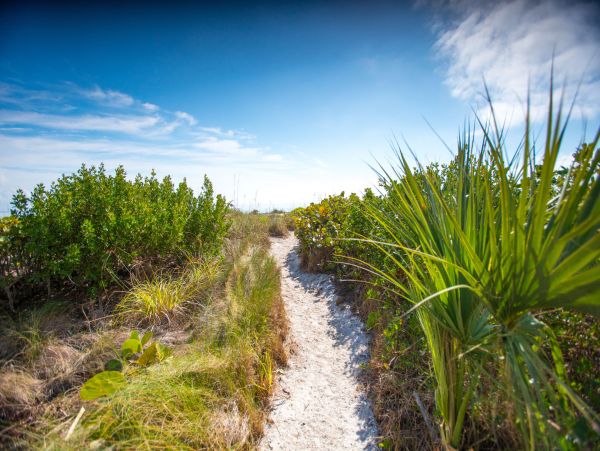 Sanibel Beachfront 3-Bedroom Townhome