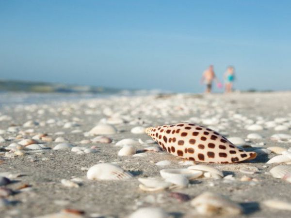 Sanibel Home 965714