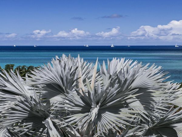 Ocean Views Virgin Gorda Vacation Home Five Bedroom