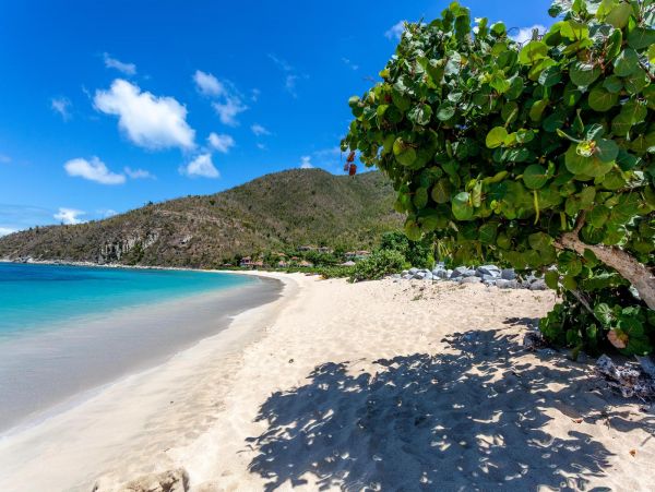 British Virgin Islands Home 965829