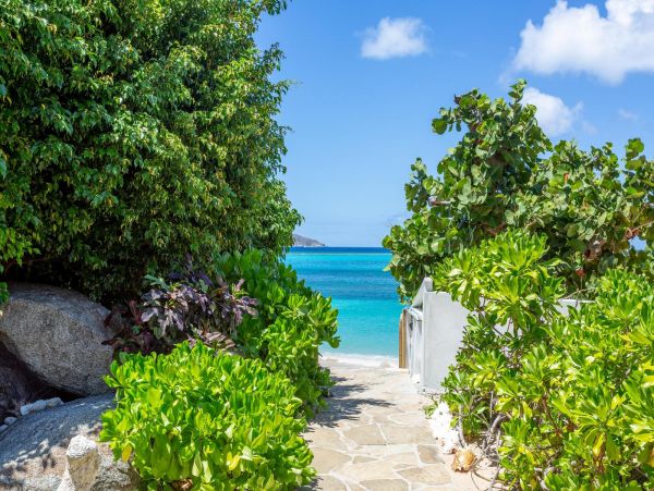 British Virgin Islands Home 965829