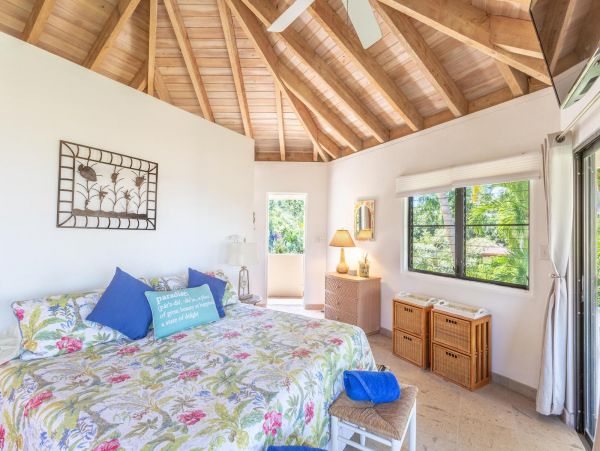 British Virgin Islands Home 965829
