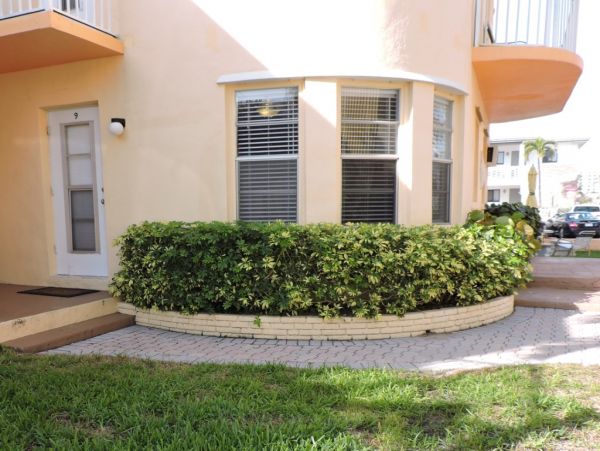 Hollywood Condo 965841