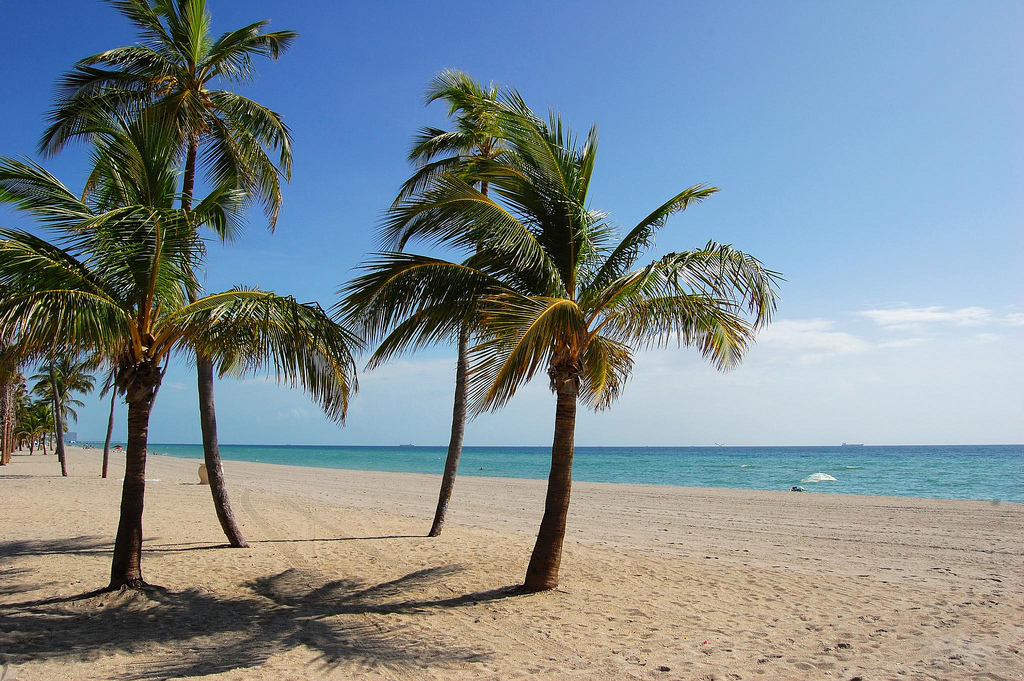 Fort Lauderdale Home 965873