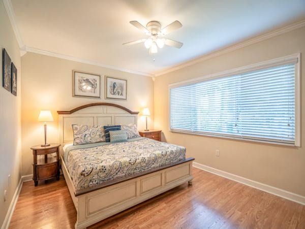 Hollywood Home 965878