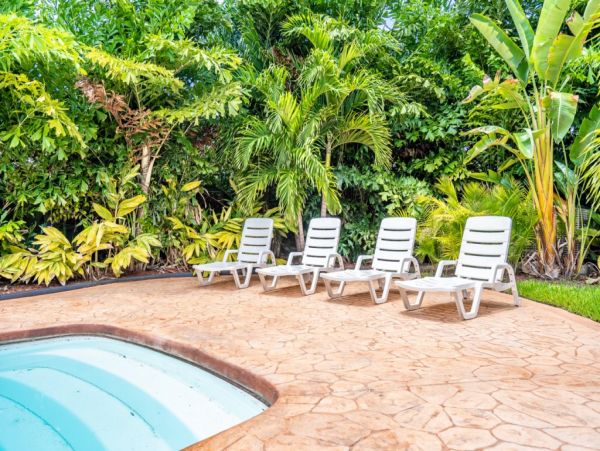 Hollywood Home 965879
