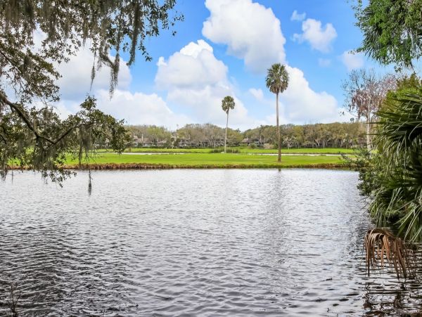 Fernandina Beach Amelia Island Condo 965908