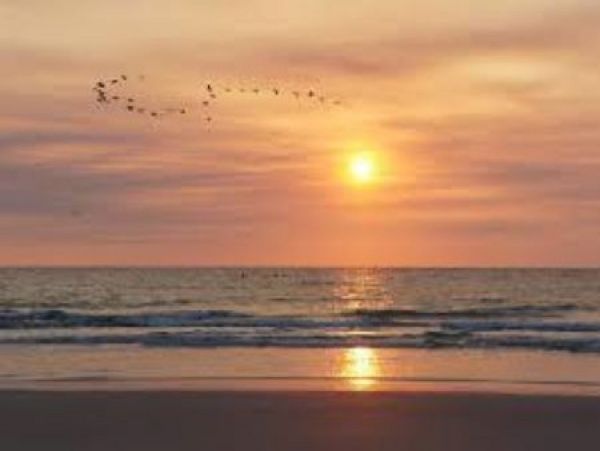 Fernandina Beach Amelia Island Condo 965934