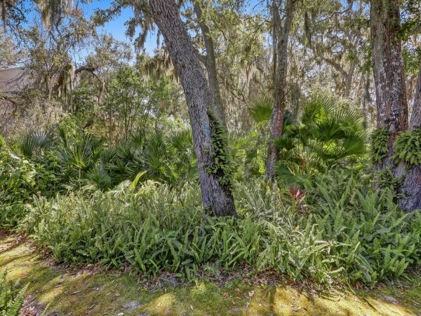 Fernandina Beach Amelia Island Condo 965975