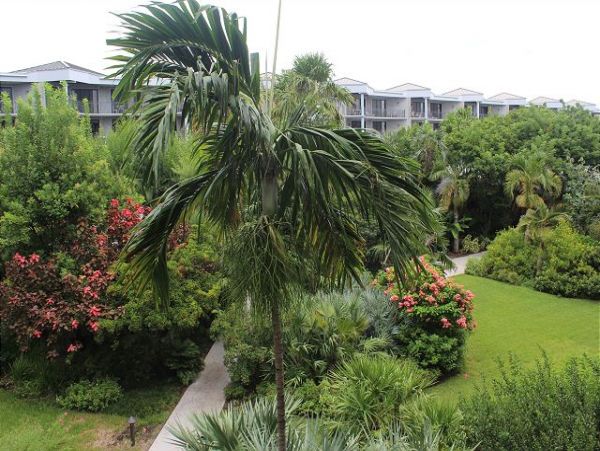 The Florida Keys Condo 966057