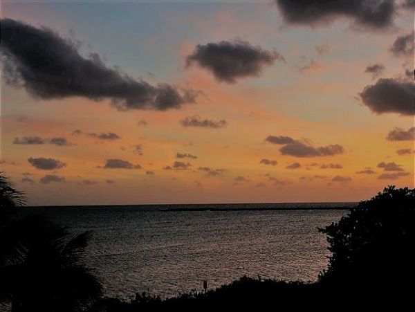 The Florida Keys Condo 966061
