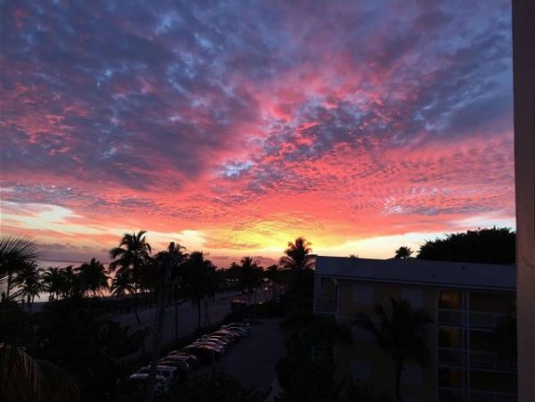 The Florida Keys Condo 966061