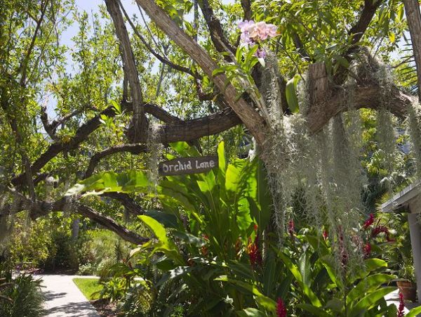 The Florida Keys Condo 966067