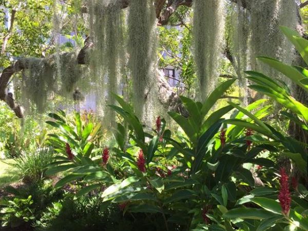 The Florida Keys Condo 966069