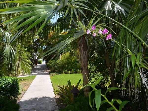 The Florida Keys Condo 966070