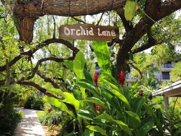The Florida Keys Condo 966070