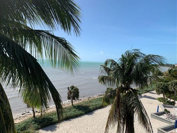 The Florida Keys Condo 966071