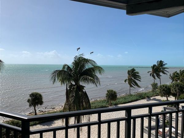 The Florida Keys Condo 966071