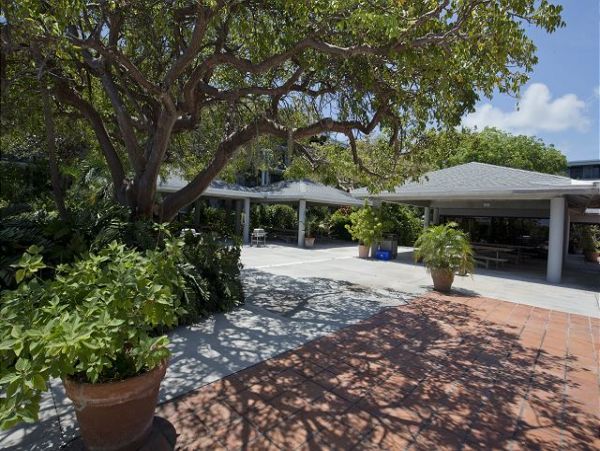 The Florida Keys Condo 966072