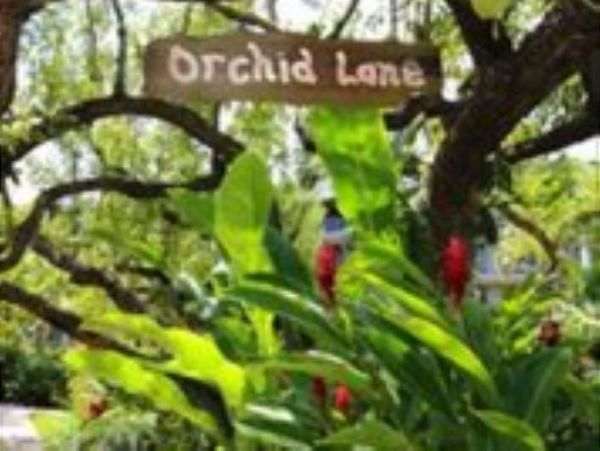 The Florida Keys Condo 966073