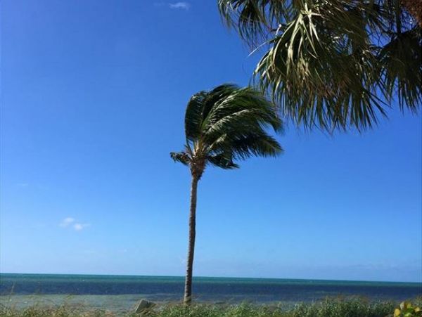 The Florida Keys Condo 966073