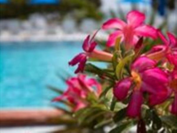 The Florida Keys Condo 966075