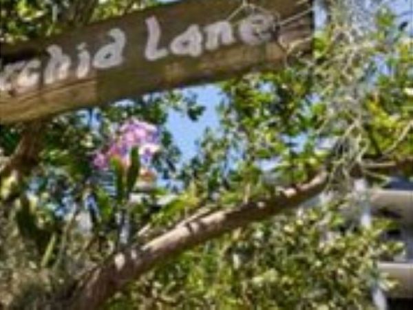 The Florida Keys Condo 966077