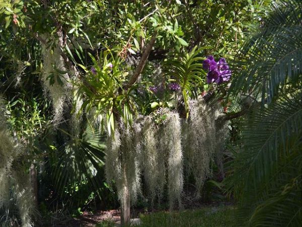 The Florida Keys Condo 966077